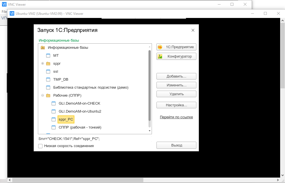 Окно VNC коннектора с запущенной 1С